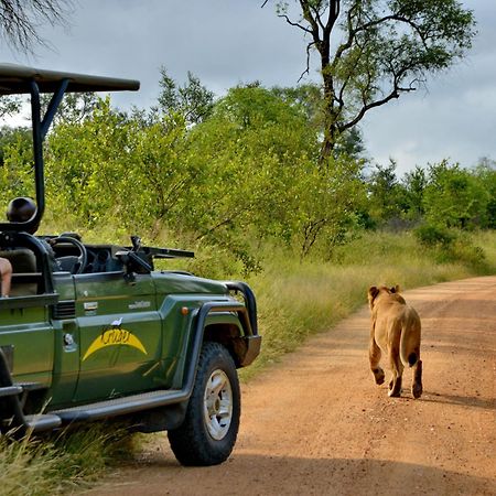 Kruger Safari Lodge Manyeleti Doğa Koruma Alanı Dış mekan fotoğraf