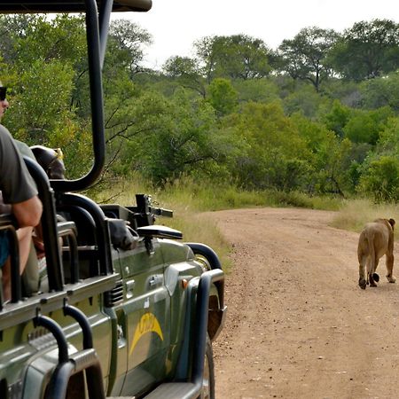 Kruger Safari Lodge Manyeleti Doğa Koruma Alanı Dış mekan fotoğraf