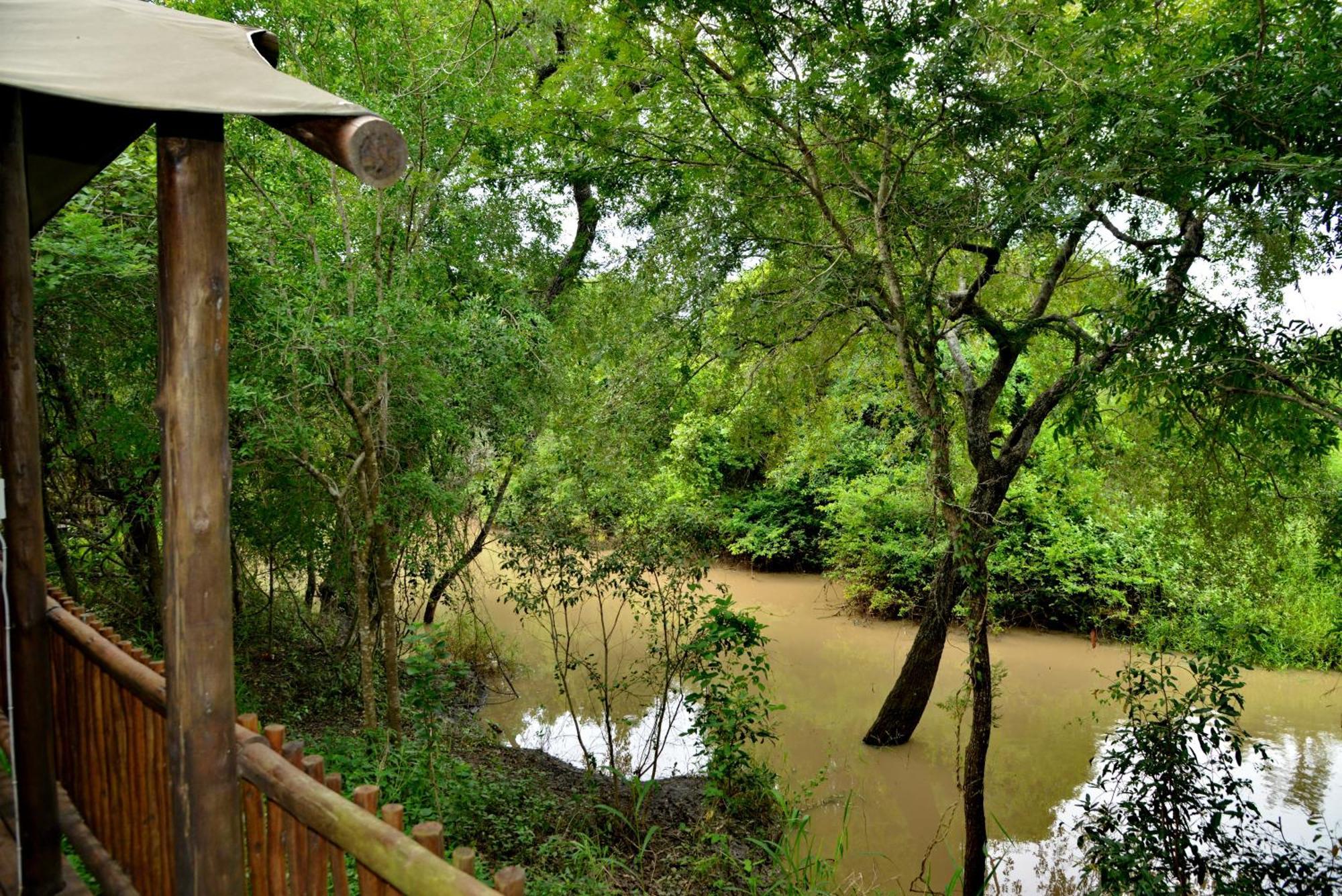 Kruger Safari Lodge Manyeleti Doğa Koruma Alanı Dış mekan fotoğraf