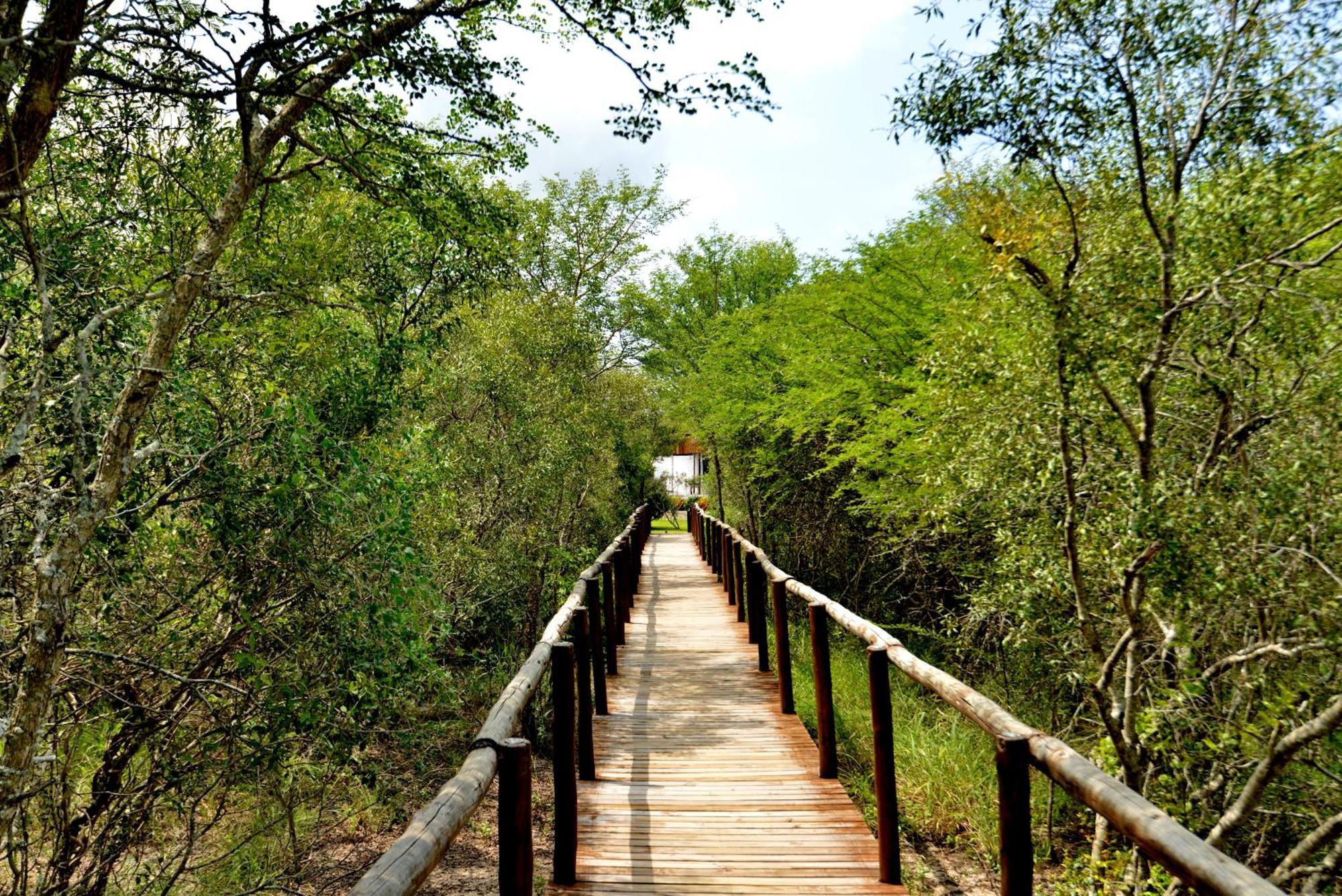 Kruger Safari Lodge Manyeleti Doğa Koruma Alanı Dış mekan fotoğraf