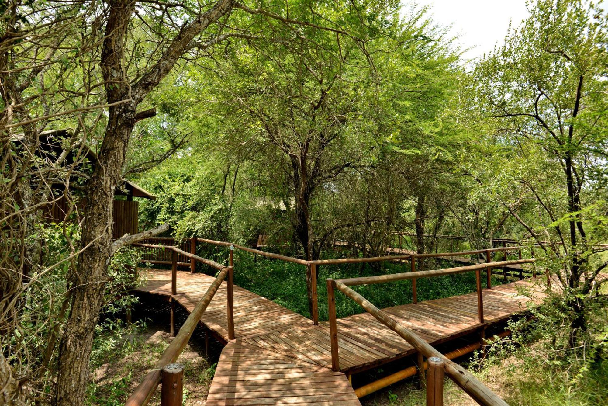 Kruger Safari Lodge Manyeleti Doğa Koruma Alanı Dış mekan fotoğraf