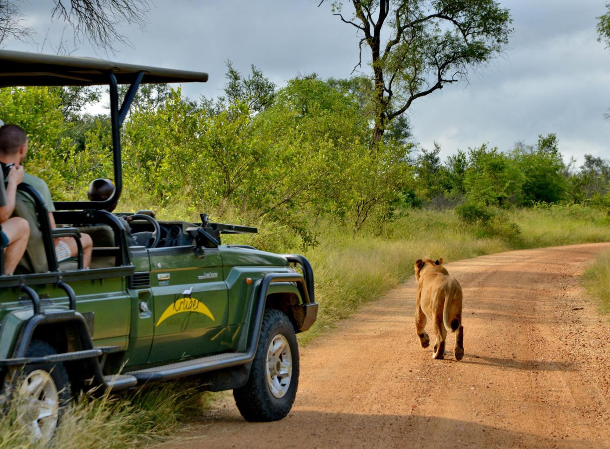 Kruger Safari Lodge Manyeleti Doğa Koruma Alanı Dış mekan fotoğraf