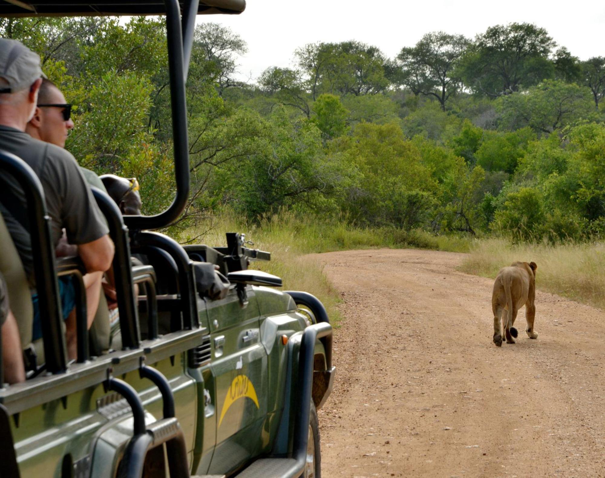 Kruger Safari Lodge Manyeleti Doğa Koruma Alanı Dış mekan fotoğraf